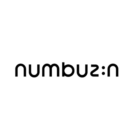Numbuzin Logo